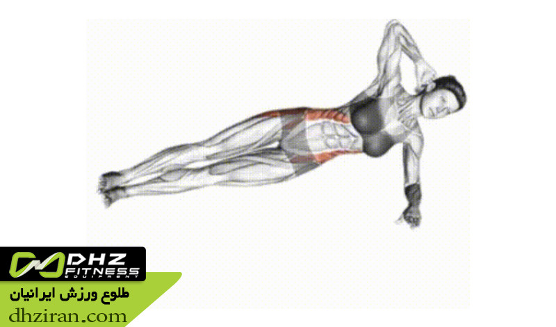 کرانچ پهلو Side Crunch: 